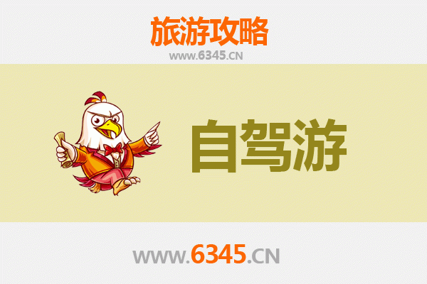 德州宁津家庭自驾游攻略：畅游蟋蟀之乡，乐享亲子时光