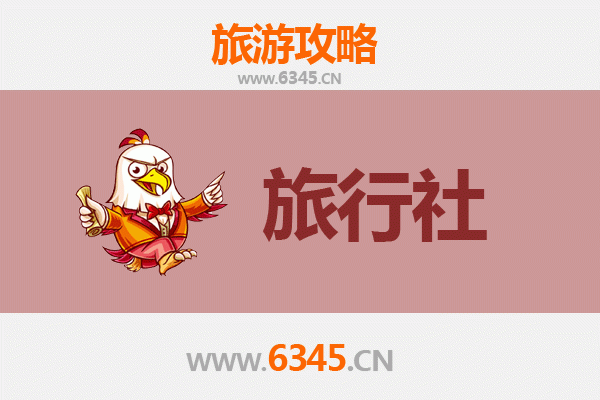 德州宁津旅游攻略：本地旅行社推荐与深度游玩指南
