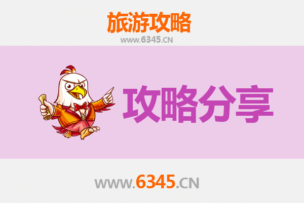 德州宁津旅游攻略：跟团游与自由行深度对比
