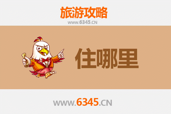 德州宁津旅游住宿全攻略：舒适体验与地域文化的完美融合